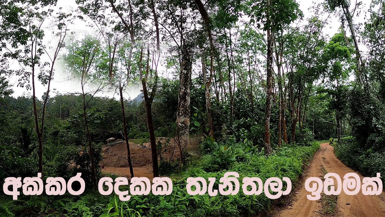 අක්කර දෙකක තැනිතලා ඉඩමක්/land/gewal/sithara/0770609858
