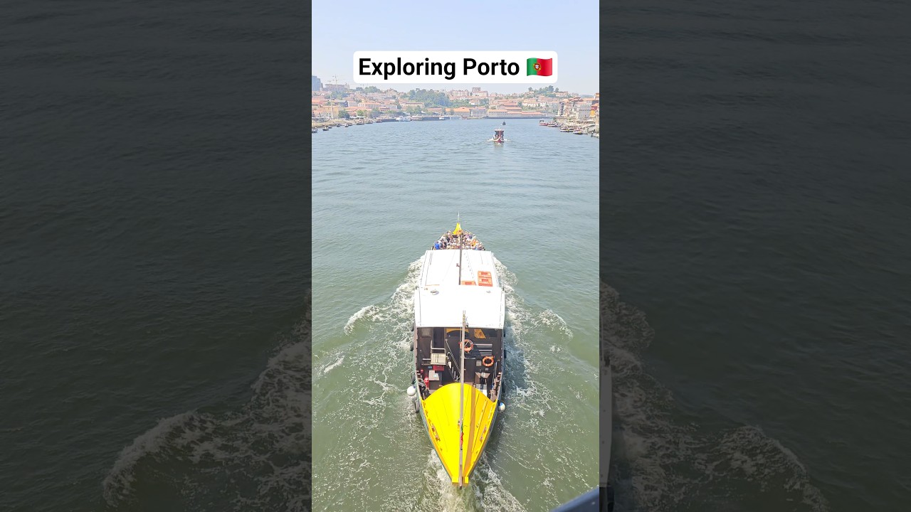 Porto Adventures with Av&oacute;, Kobe, Sandy & Zuri 🇵🇹☀️ #travel #portugal #fyp