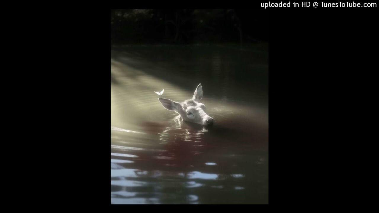 imago meri + ambient type beat