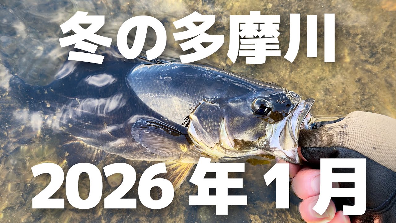 2026年 初バス 寒さに耐えながら釣る 冬の多摩川 【2026年1月】