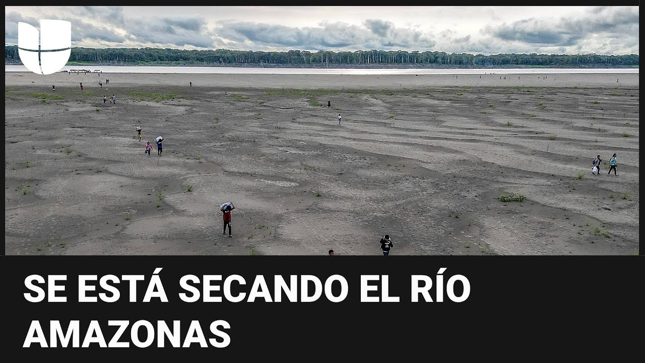 El r&iacute;o Amazonas se est&aacute; secando, su caudal ha bajado casi un 80%: las im&aacute;genes son aterradoras