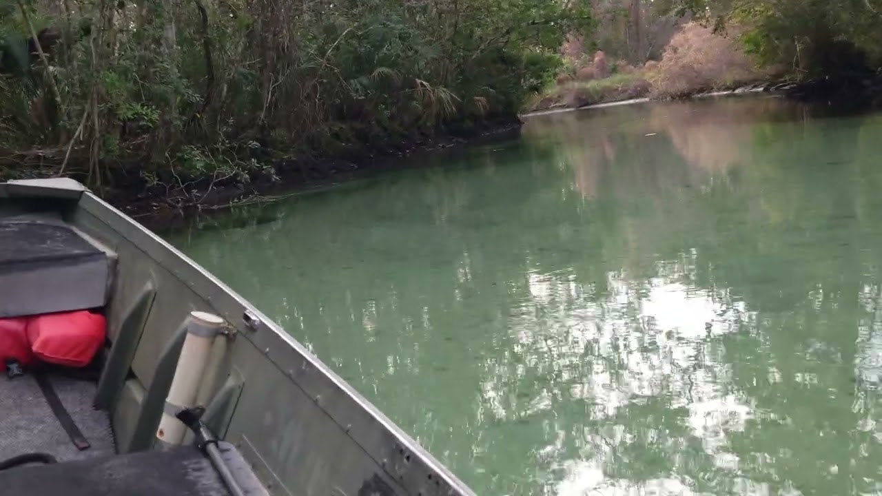 Weeki Wachee 1-11-26 730p