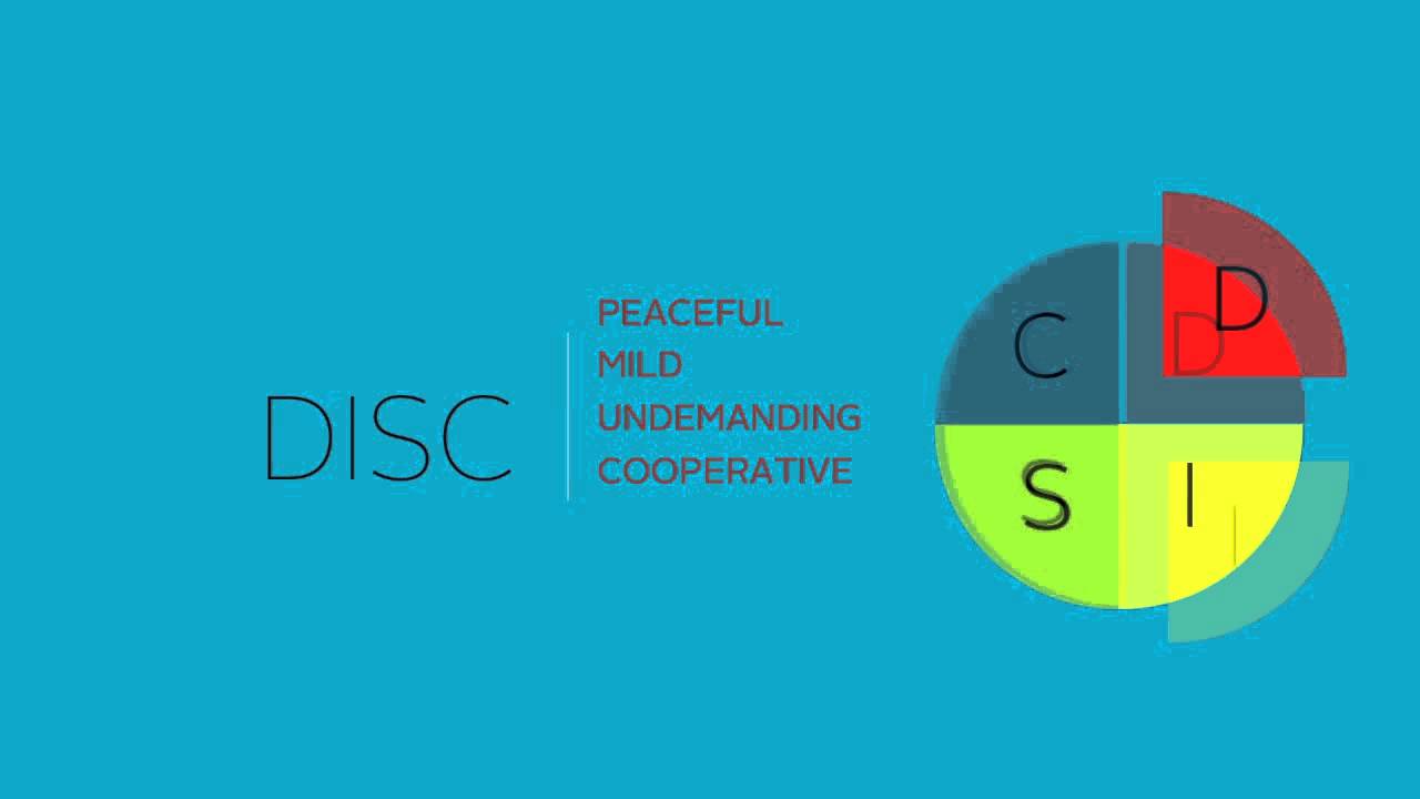 DISC Assesment Tool Overview