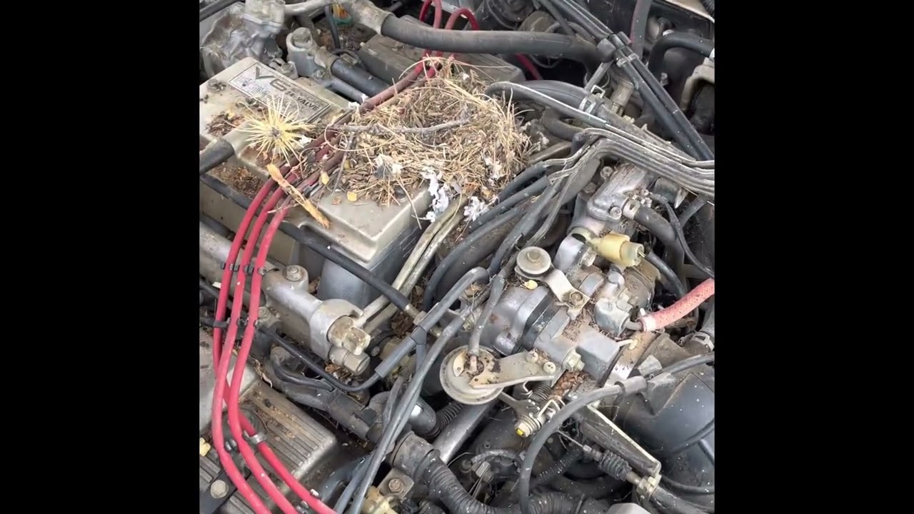 1988 Acura Legend Restoration Project | Parked for over ten years!