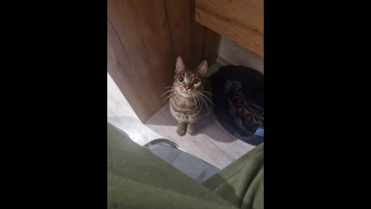 I have returned (again)