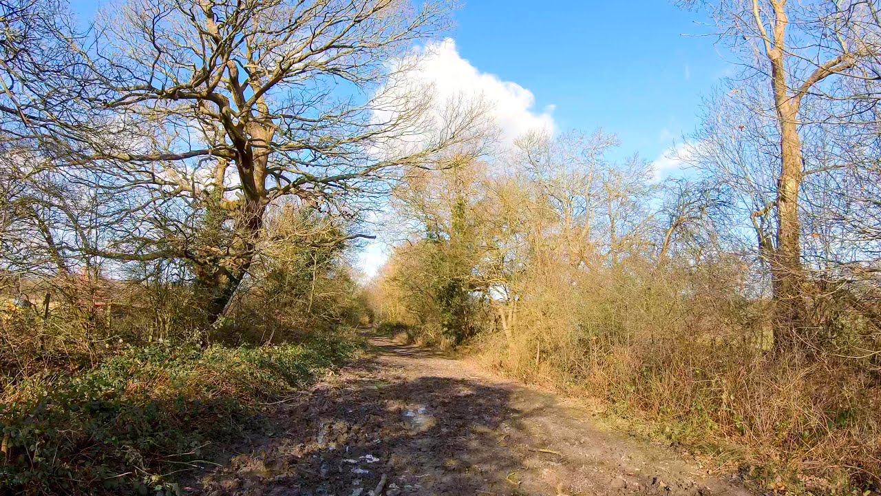 Walking beyond London’s boundaries: Arkley Lane, Barnet, towards Hertfordshire [4K, Binaural]