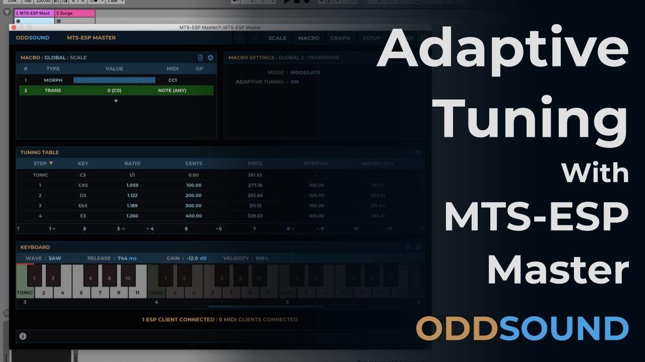 Adaptive Tuning With MTS-ESP Master