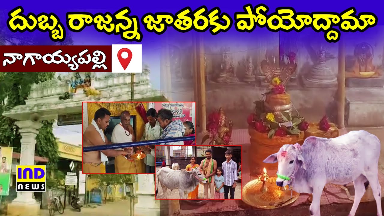 మహిమగల దేవుడు నాగయ్యపల్లి దుబ్బ రాజన్న STORY|| IND NEWS VEMULAWADA