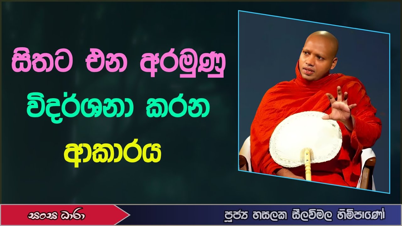 සිතට එන අරමුණු විදර්ශනා කරන ආකාරය (Ven.Hasalaka seelavimala thero) Sangha Dhara - සංඝ ධාරා