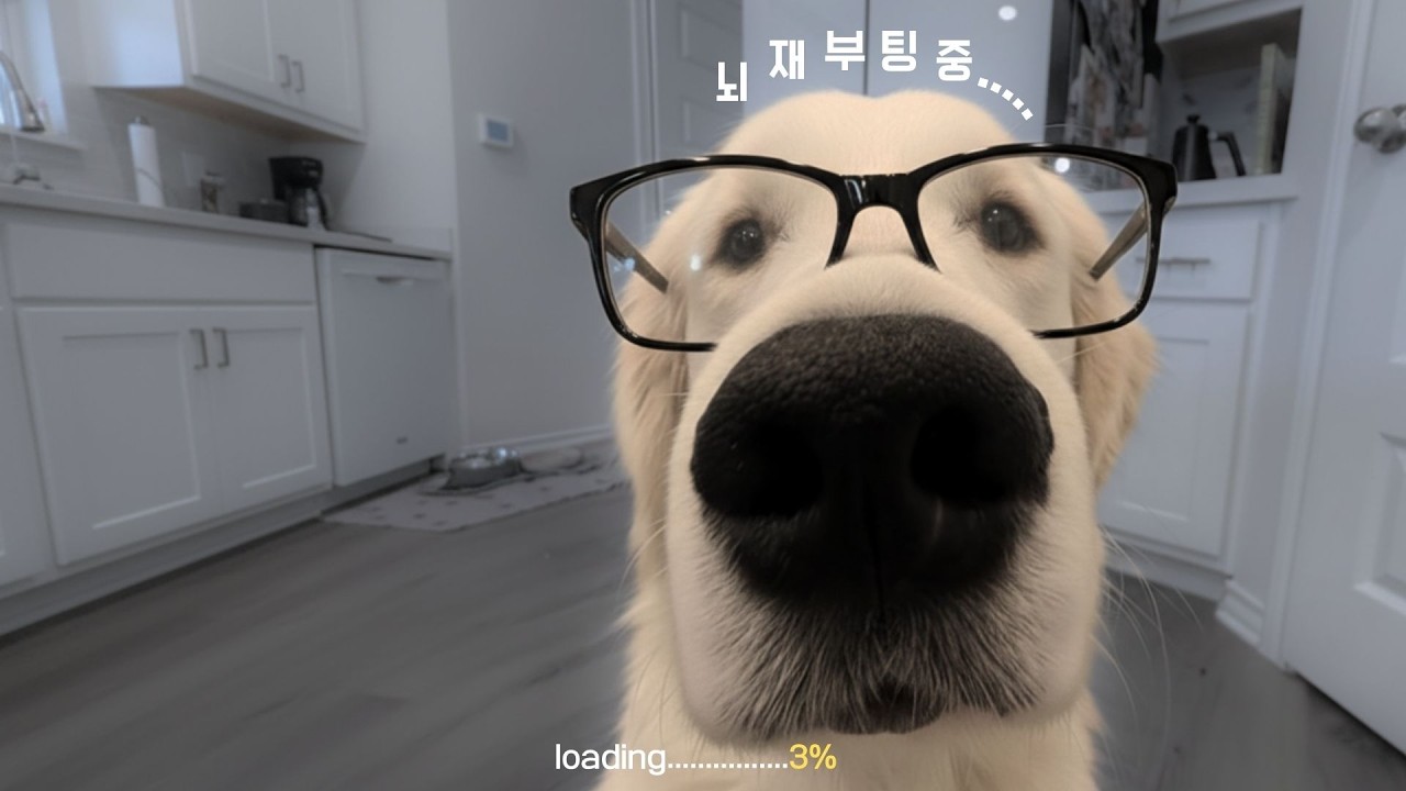 Playlist  |아직 3%… 토요일 뇌 재부팅 플레이리스트 🧠🎧 |Groove · Jazzhop · Cafe