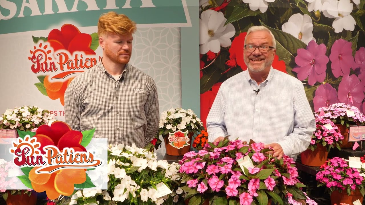 SunPatiens® Overview with the Experts!