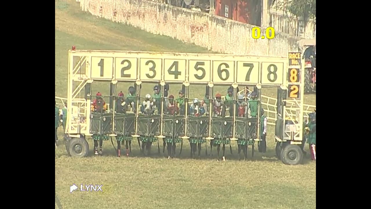 Delhi Race No 2 The Ponza Plate Div l/ Win - BHUJANG / Jockey - S G Prasad / 