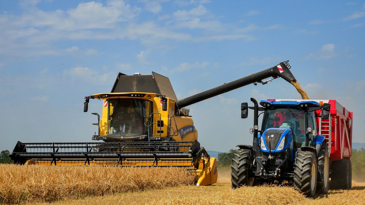 MOISSON D'ORGE 2022🌾