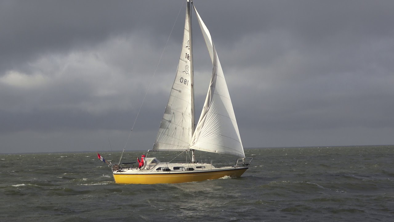 Marieholm 32E Blauwvoet