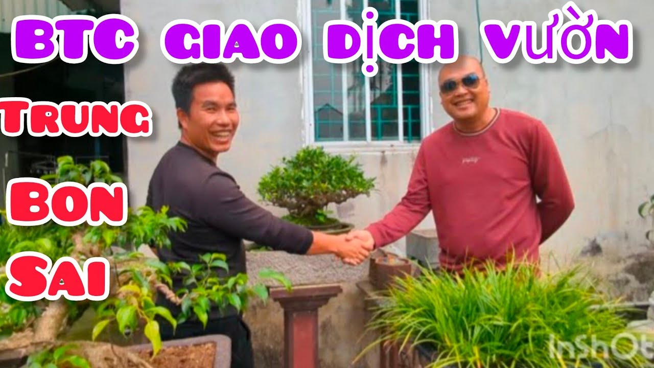 1 tác phẩm Duối và một tác phẩm Sanh của nhà vườn Trung Bon sai tham dự triển lãm Yên Mô Ninh Bình