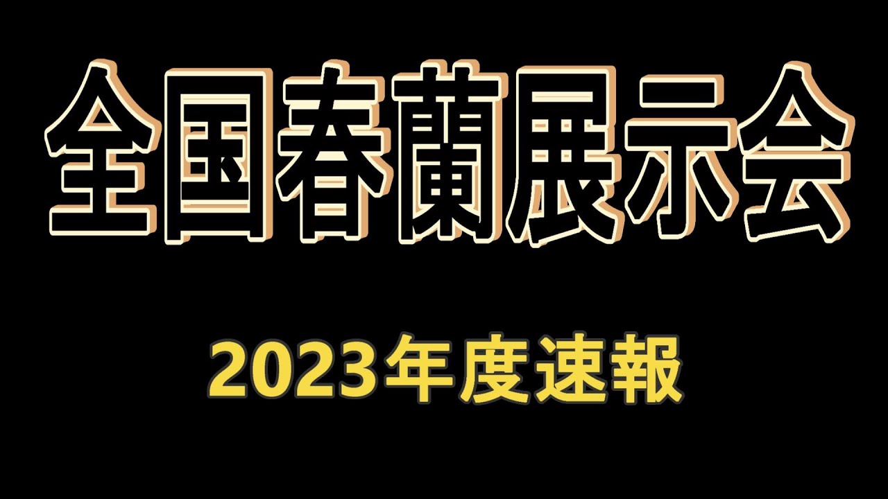 全国春蘭展示会速報画像2023