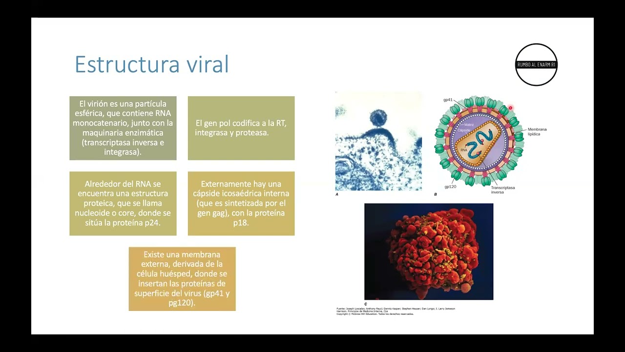 VIH PARA EL ENARM 2024
