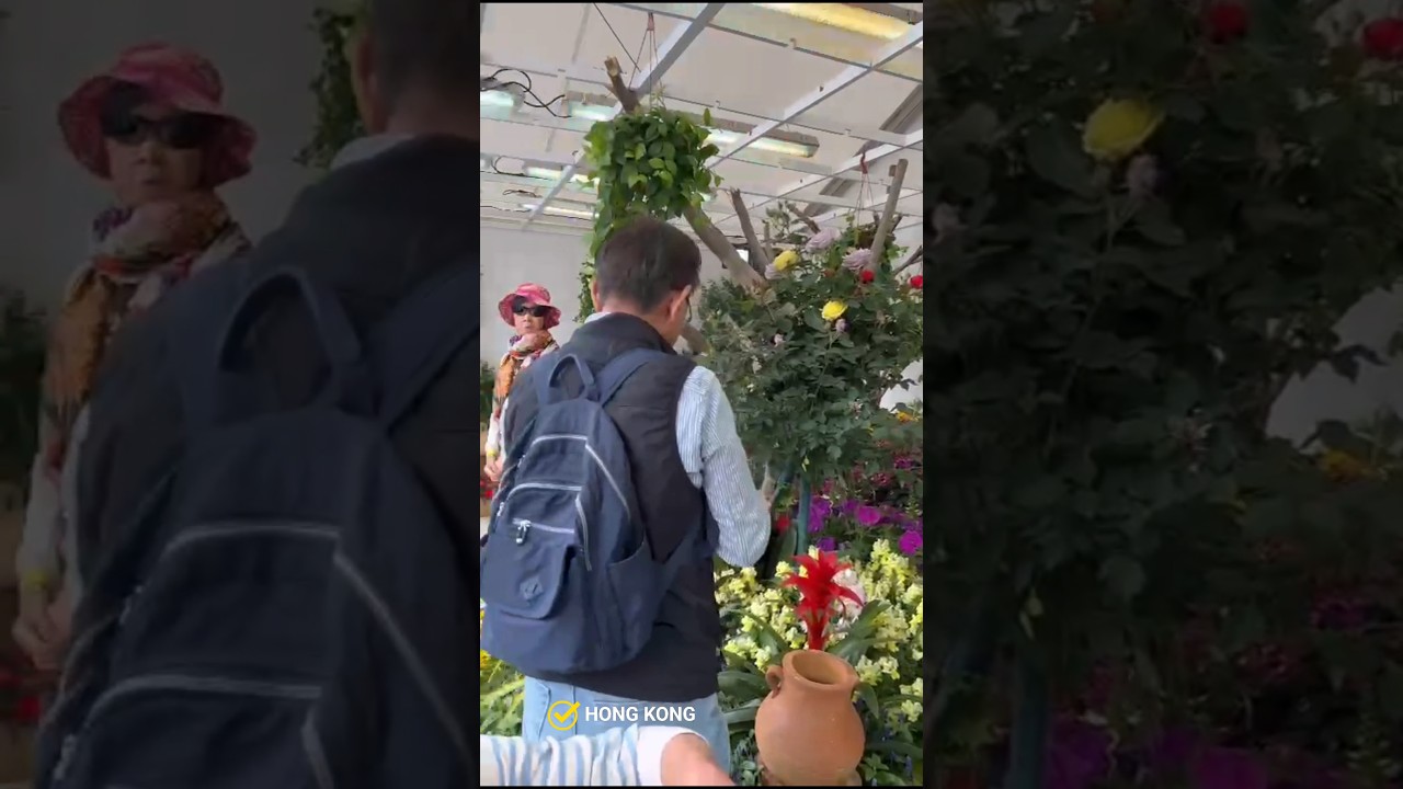 📍Hong kong 4k | First time day of Intl. FLOWER EXHIBITION -Victoria Park #hongkong