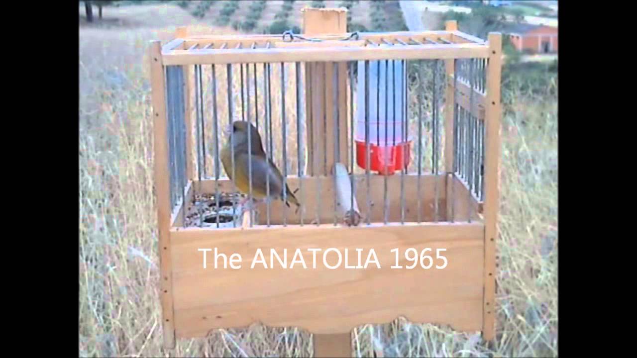 ΦΛΩΡΟΣ  Οκτωβριανός 1 μέρος 1ο