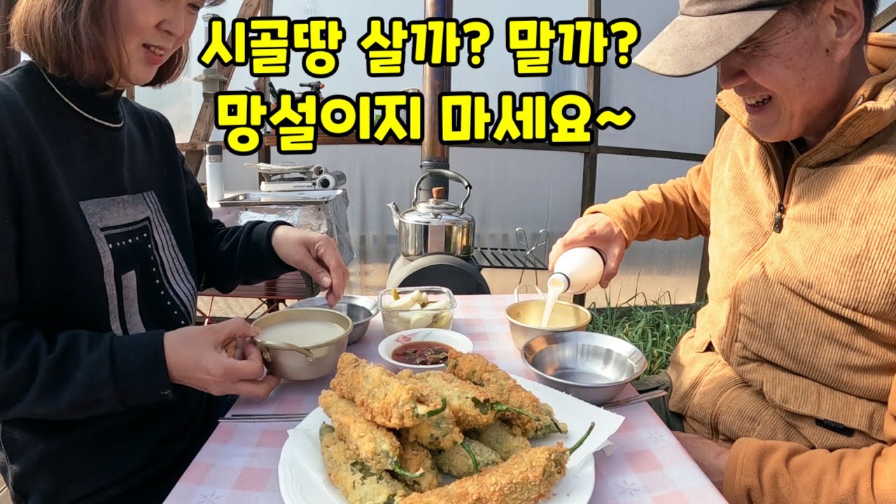 시골땅 살까? 말까? 망설이지 마세요~ / 비닐하우스 하나로 충분합니다 / 연못만들기 마감 작업 / 바싹한 고추튀김, 매콤한 닭볶음탕, 얼큰한 전찌개