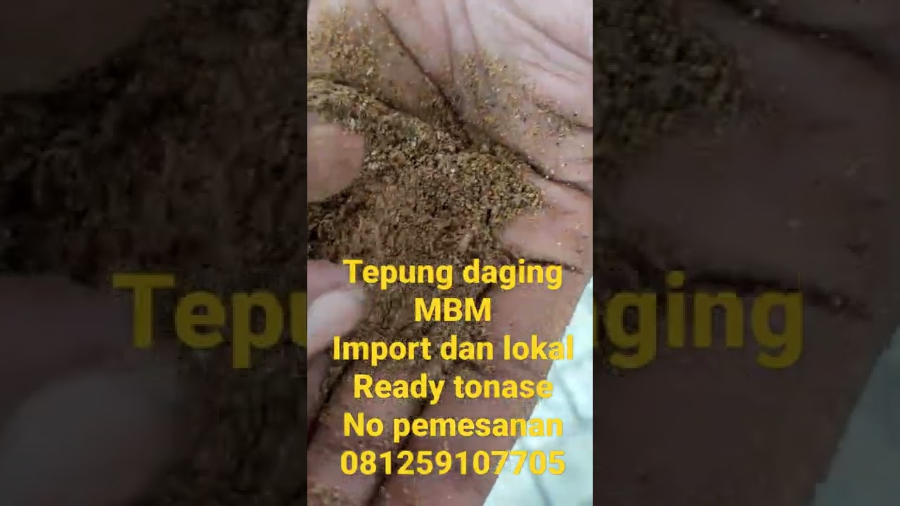 bahan baku pakan ternak tinggi protein hewani