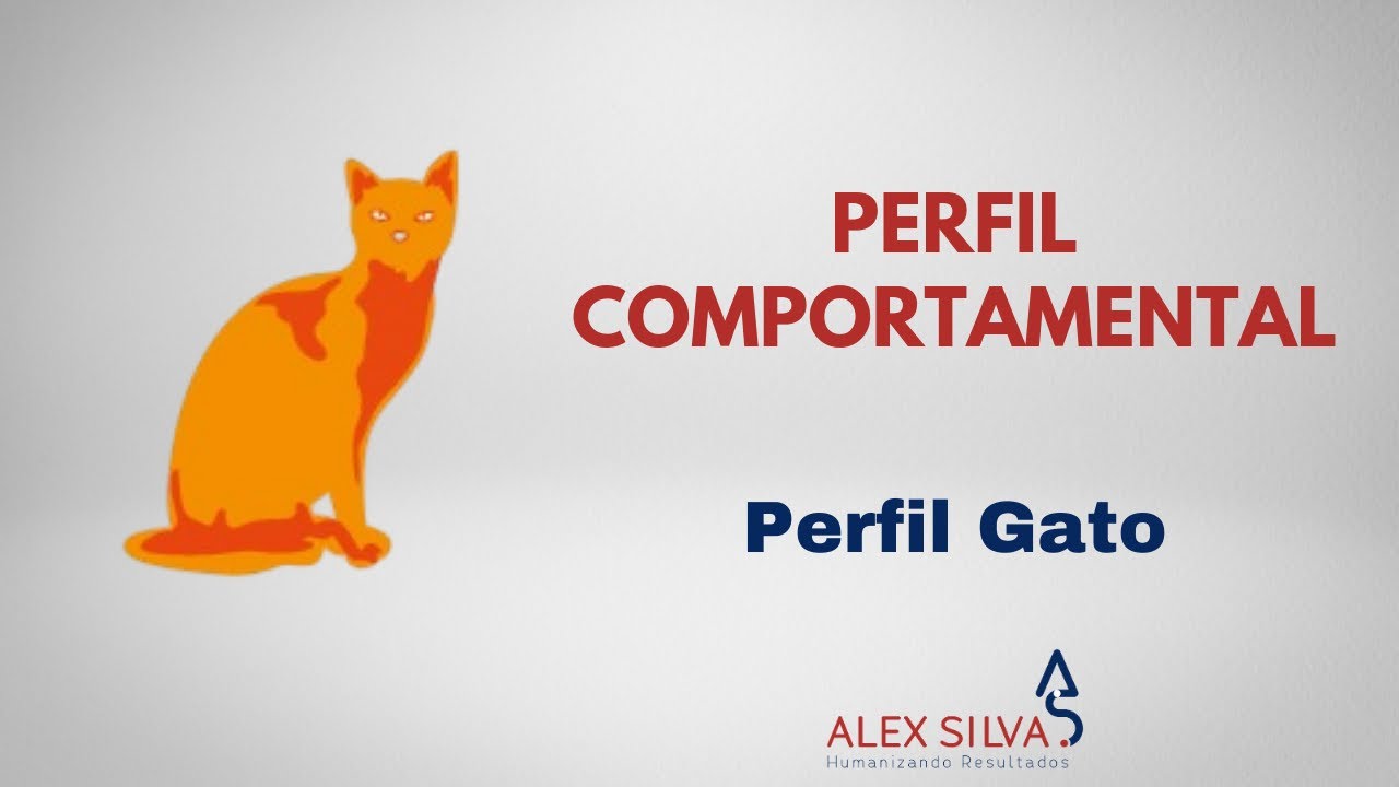 Perfil Comportamental Gato: qual é o seu ...