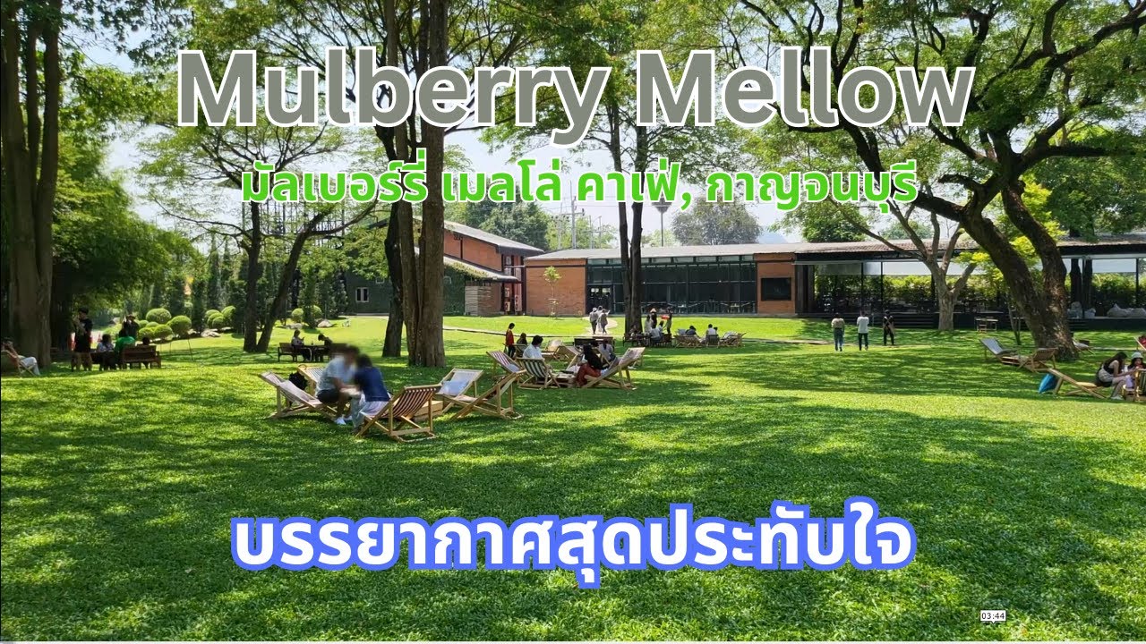 Mulberry Mellow ร้านคาเฟ่ในกาญจนบุรีที่บรรยากาศสุดประทับใจ #สวนสวย ร่มรื่นและต้นไม้ใหญ่มาก!!!
