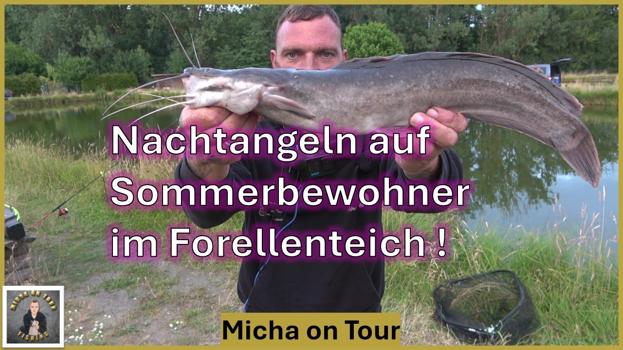 Nachtangeln auf Afrowels , Stör und Karpfen ! / Mit der Posenmontage am Forellensee ! /