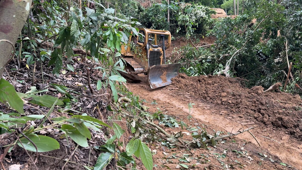 Oil Palm Terrace Opening Project Using a Precise D6R XL Bulldozer
