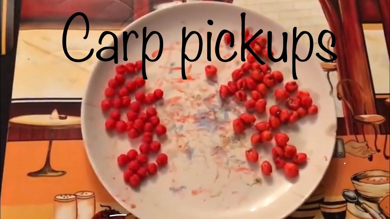 How to make Pickups for carp fishing