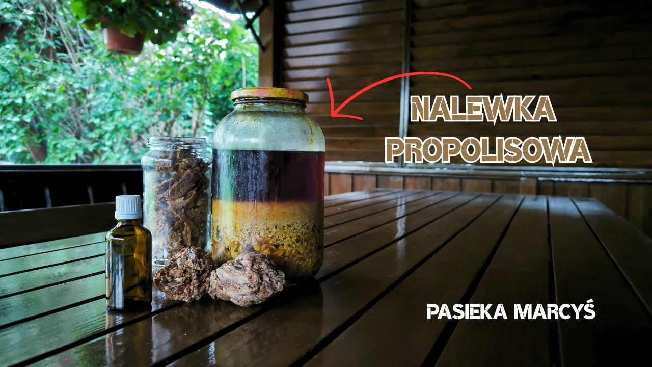 Nalewka propolisowa – przepis, właściwości i zastosowanie