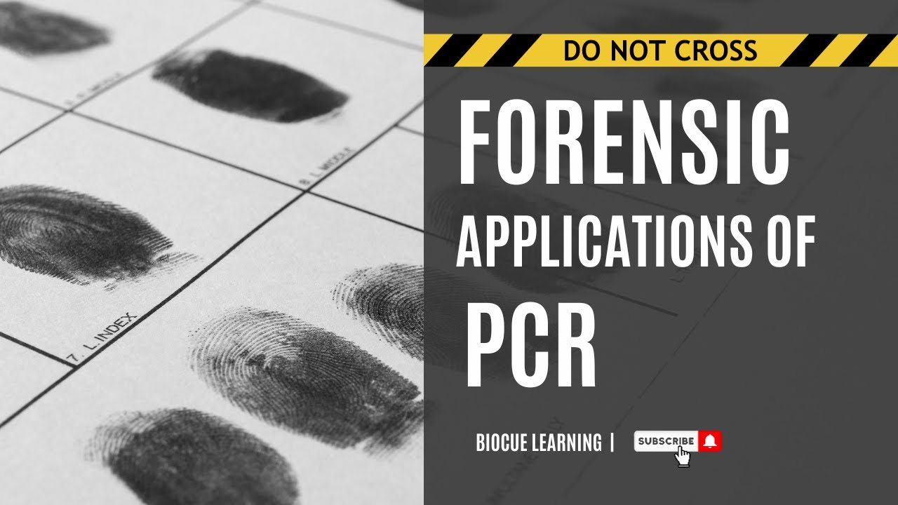 Forensic Applications of PCR