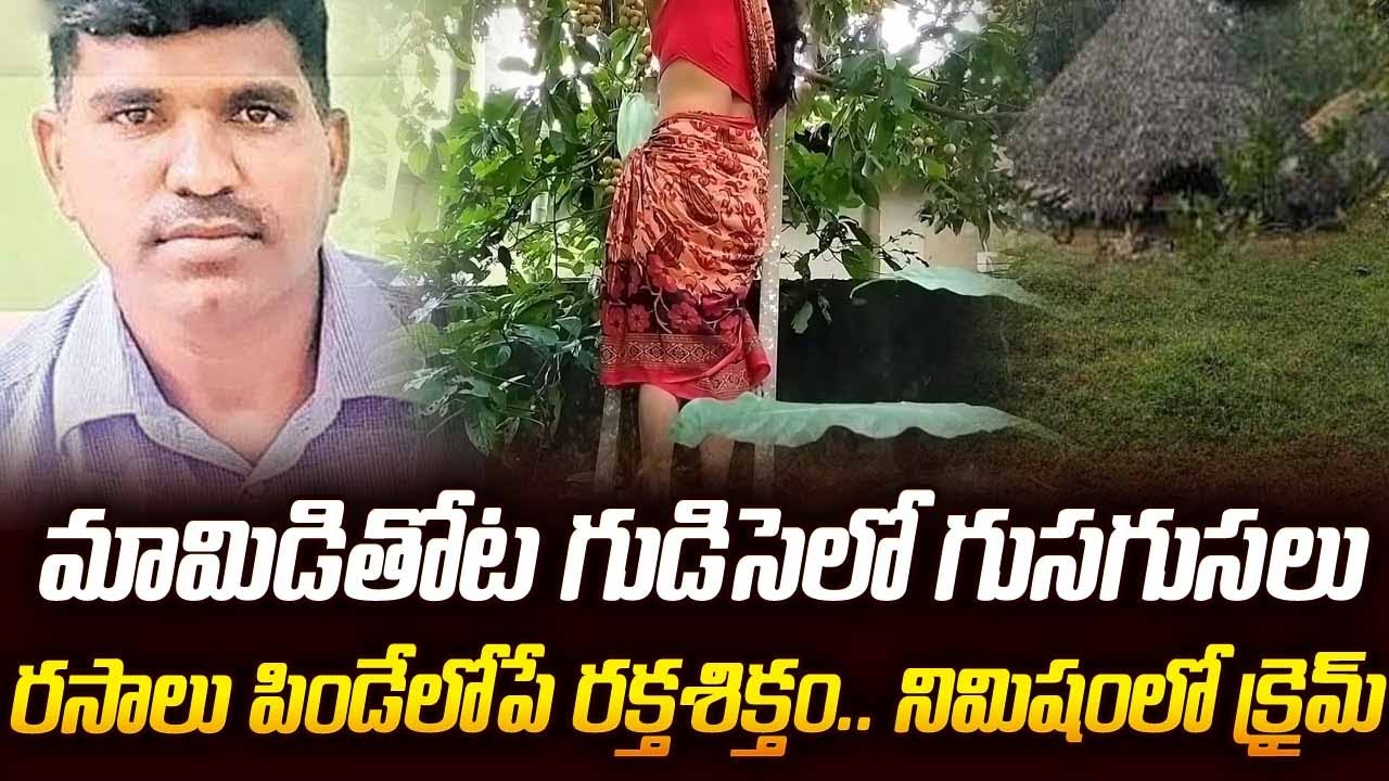 మామిడి తోట గుడిసెలో గుసగుసలు రసాలు పిండేలోపు రక్తశిక్తం నిమిషంలో క్రైమ్ | #vov | SM
