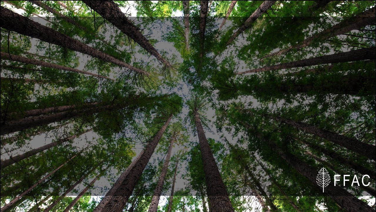 The Wedding Ceremony of Katelin and Declan