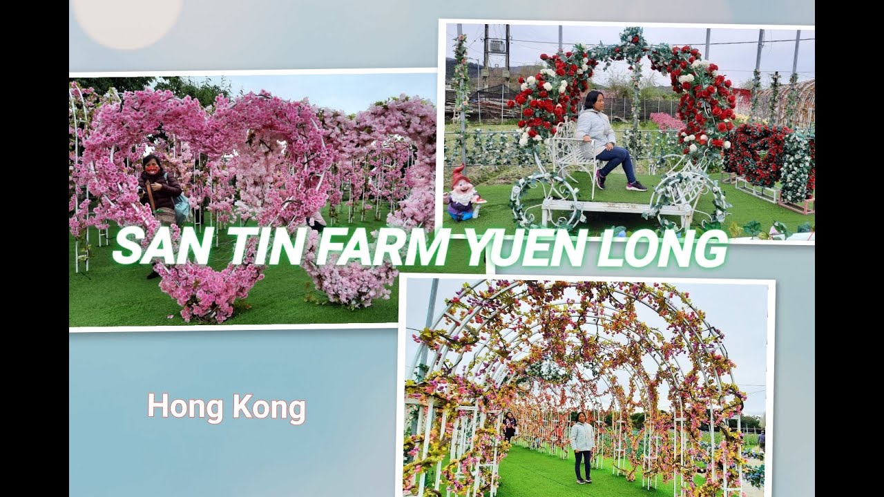 San Tin Farm Yuen Long Hong Kong  || Shek Wu Wai Garden || Taman Bunga di Yuen long