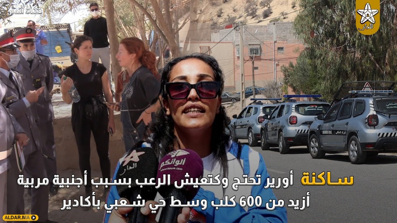 كيحرقو الكلاب .. ساكنة أورير تحتج وكتعيش الرعب بسبب أجنبية مربية أزيد من 600 كلب وسط حي شعبي بأكادير
