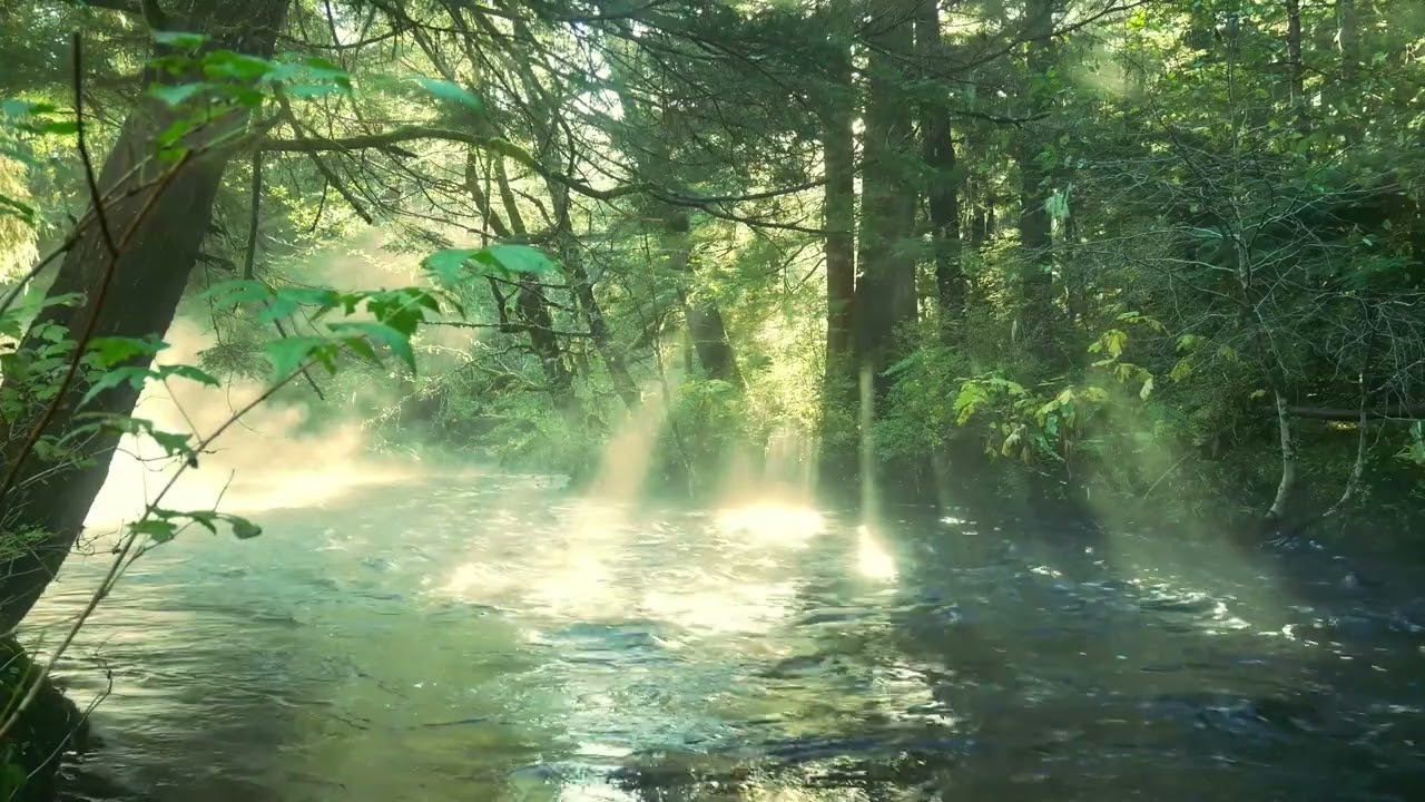 Relaxing river stream for sleep screensaver