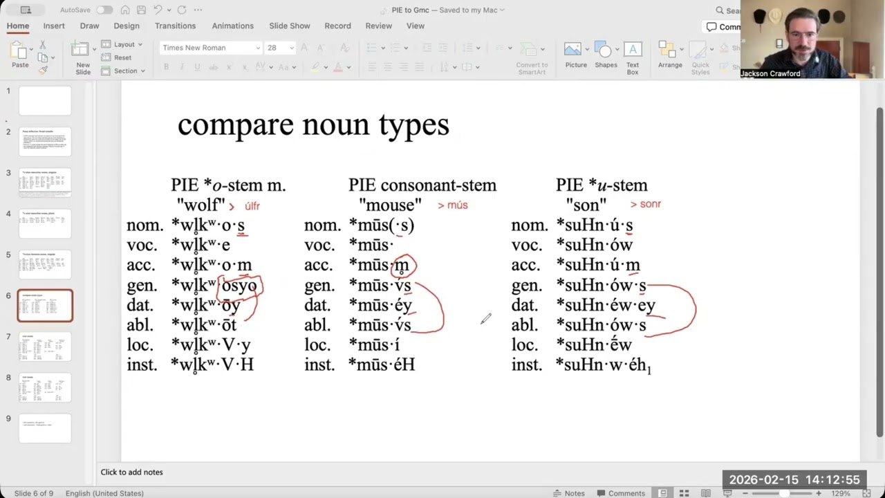 Indo-European noun types and their reconceptualization in Old Norse and other Germanic languages