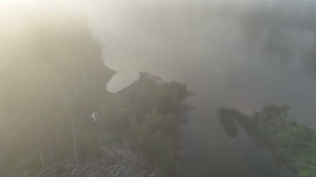 Bundanon Fog