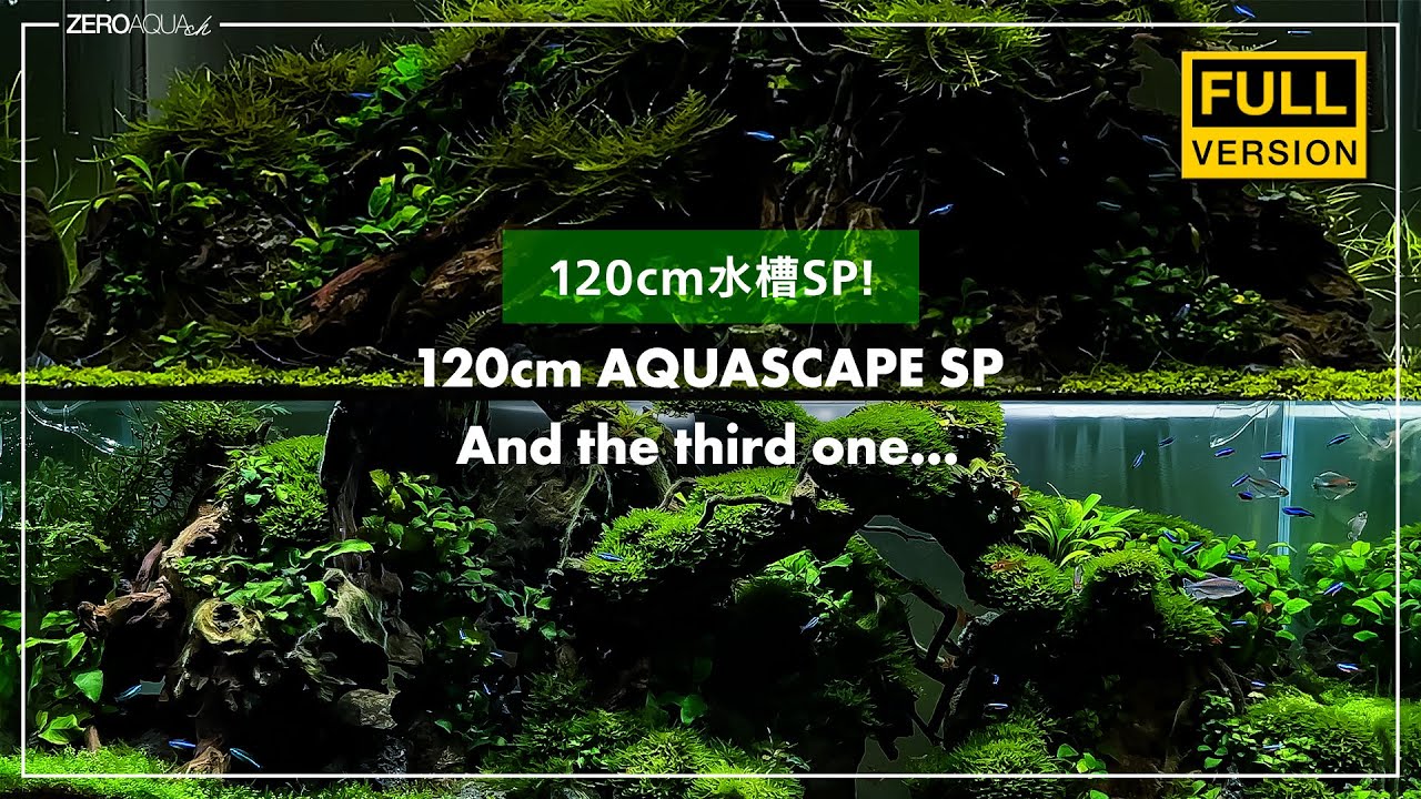 2つの120cm水槽の立ち上げから終わりまで そして3つ目に取り掛かる/アクアリウム/aquarium/120cm/vlog/