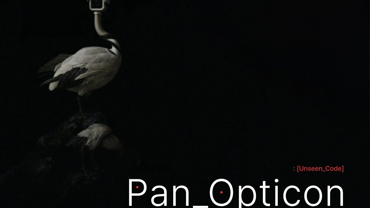 Pan_Opticon :[Unseen_Code]  / Black Swan Code