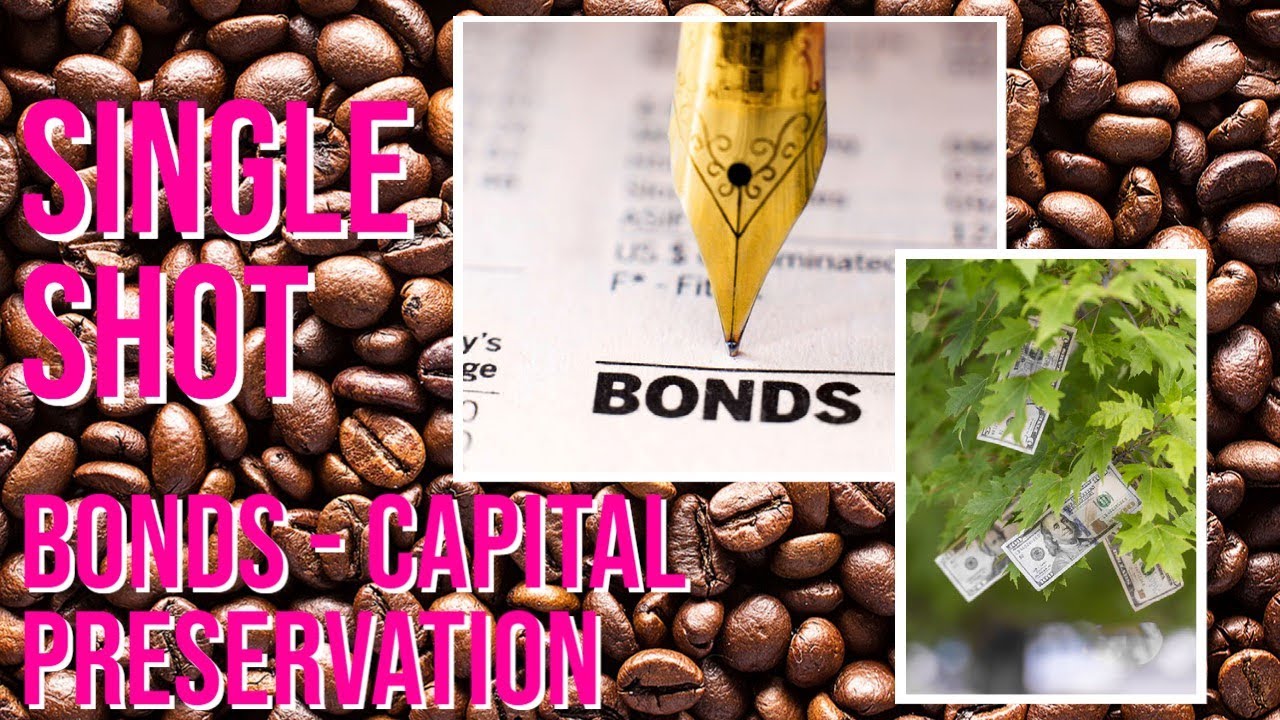 Your Single Shot Now!! - Using BONDS For Capital Preservation | Investing For Beginners
