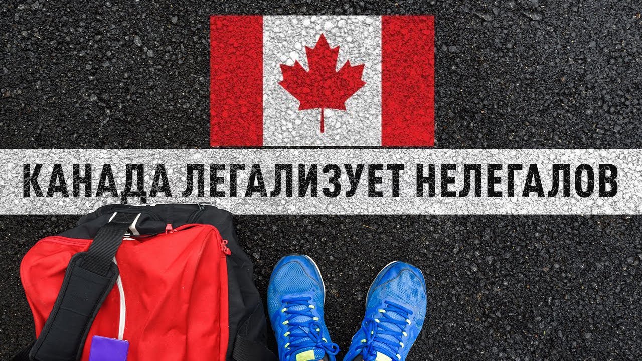 Приехал нелегалом - получи ПМЖ!