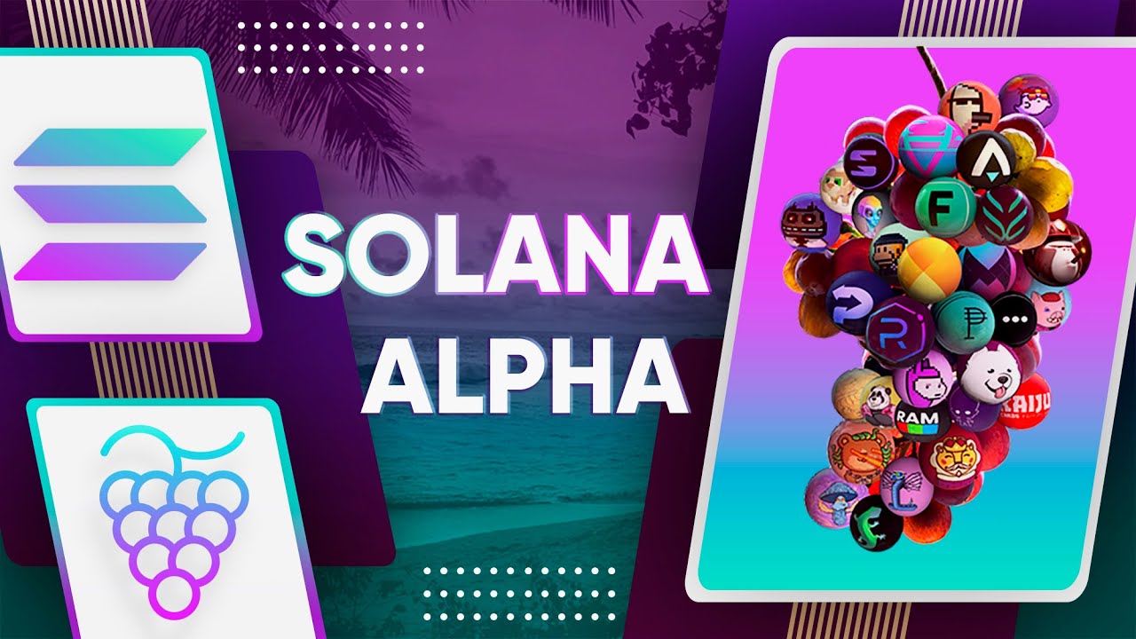 Grape Solana Alpha #17 | Solana 5 MILLION Hackathon | Katana NFT | Solgods NOT RUGGED & new gameplay