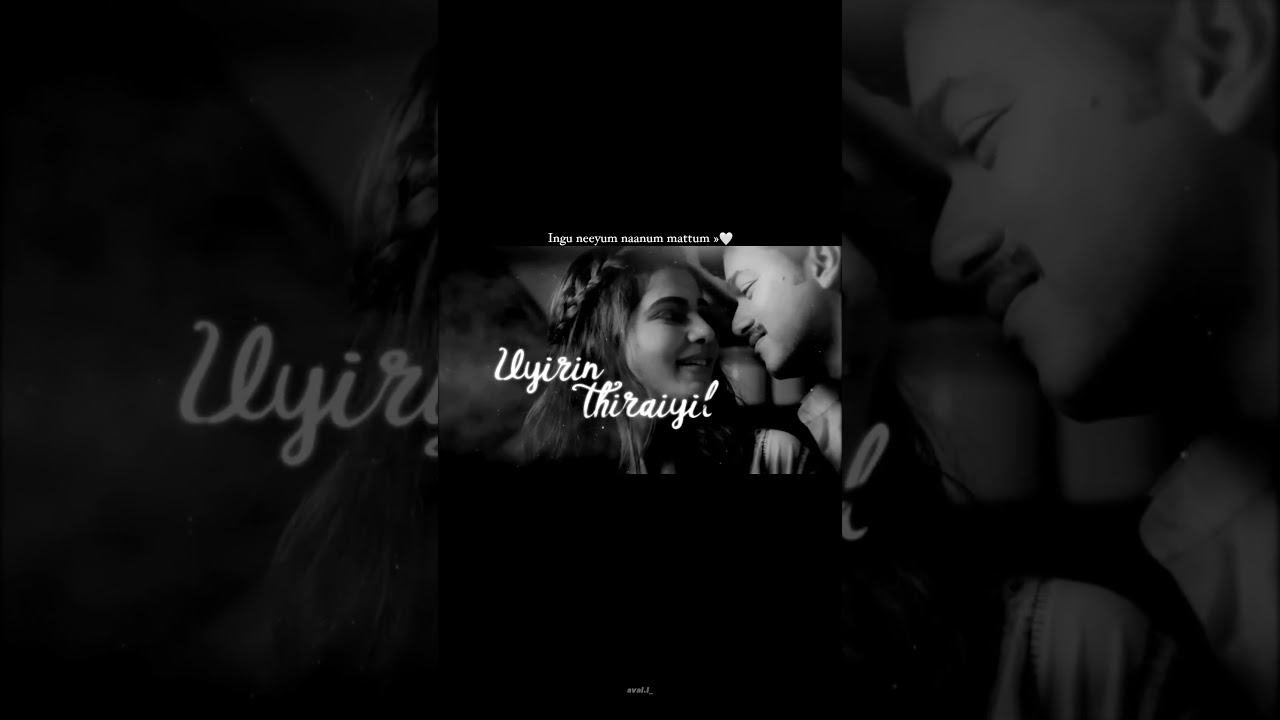 nithaney..#vijay#thalapathyvijay#samantha#mersal#mersalsongs#neethane#tamilstatus #arrhamanmusic