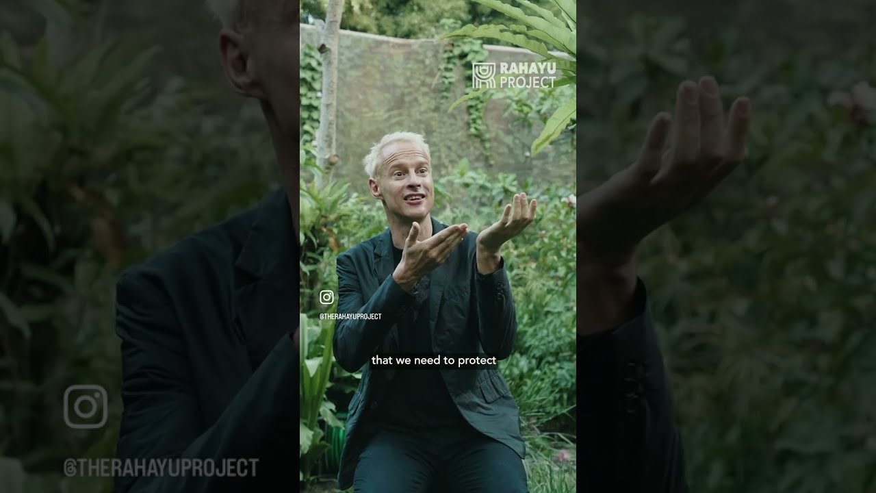 Reviving the Glow: Bali's Mission to Restore Fireflies with the World's First Firefly Garden