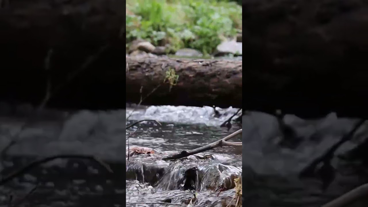 #trending  #Ankara Soğuksu Milli Parkı gezimizden anlar#soguksumilliparki#🏞️🏞️