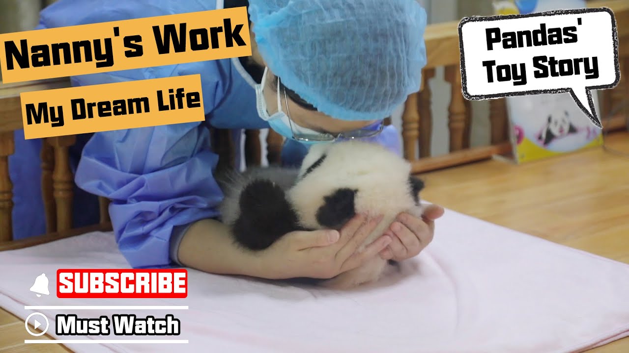 Nanny’s Work Is My Dream Life | iPanda