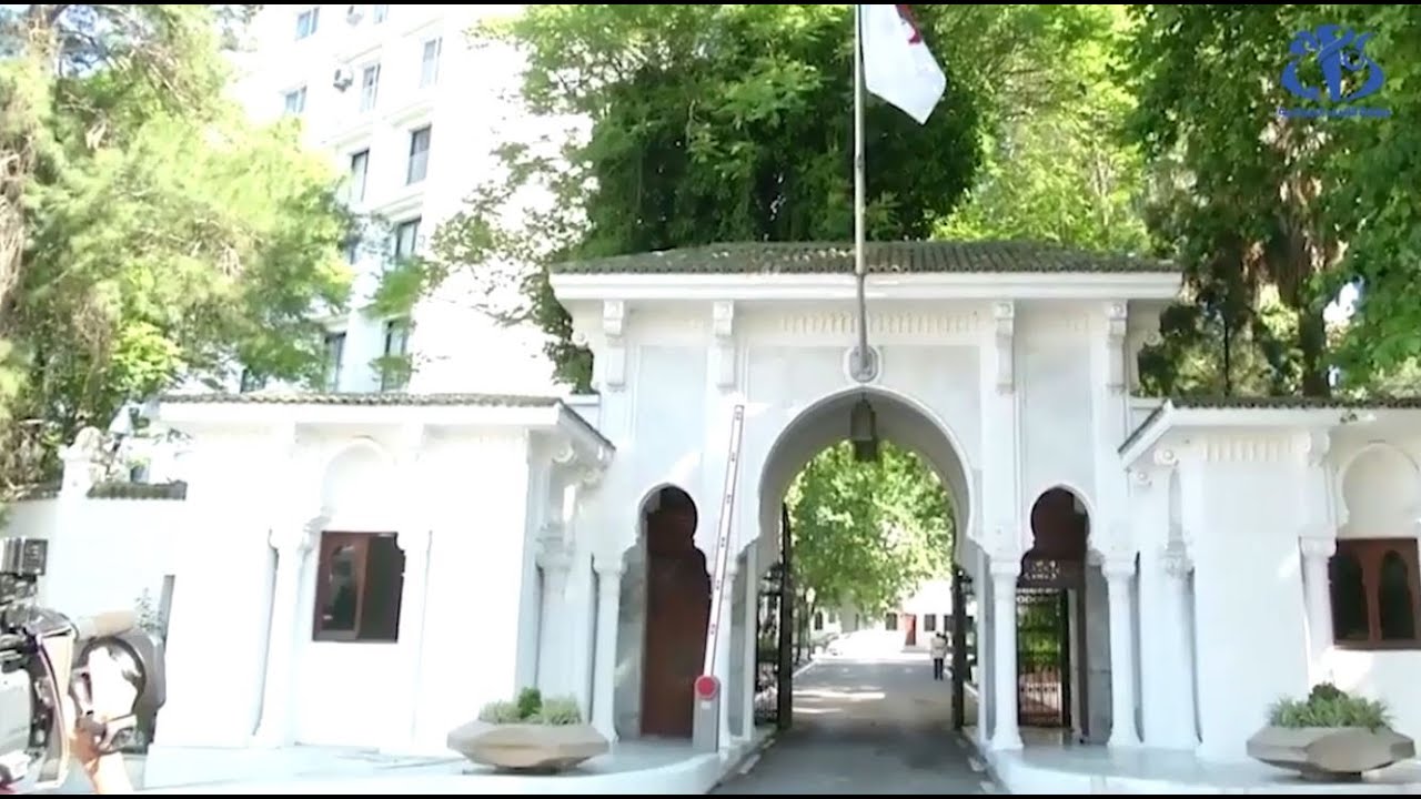 مسودة الدستور: الأحكام الانتقالية واستحداث منصب نائب الرئيس