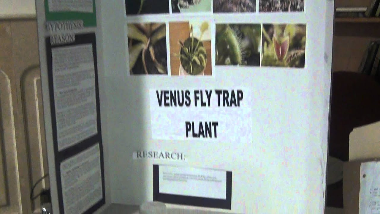 Al-Minhaal Academy Science Fair: Video #25